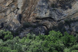 a-large-rock-face-with-trees-growing-on-it.jpg a large rock face with trees growing on it