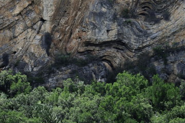 a large rock face with trees growing on it